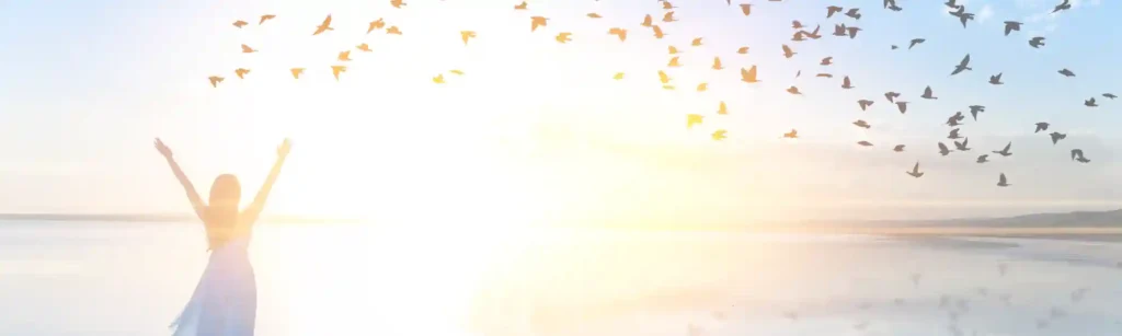 Geld verdienen mit PLR Produkten