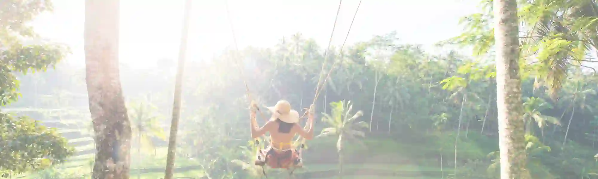 Geld verdienen mit PLR Produkten beim Schaukeln im Dschungel