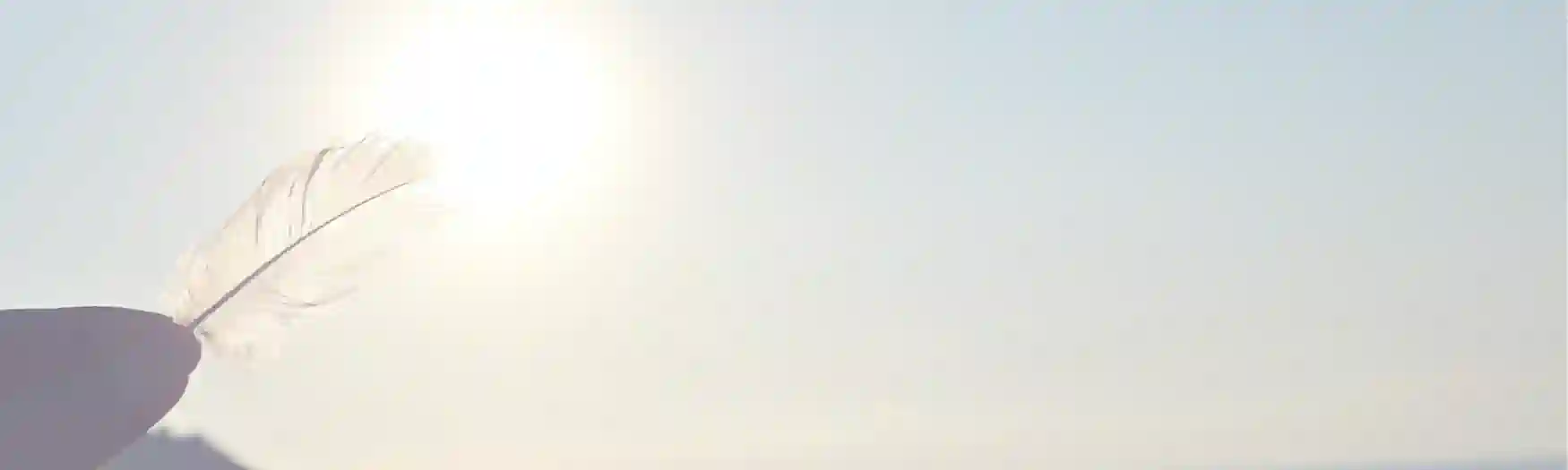 Die 10 Vorteile von PLR-Produkten für deine finanzielle Freiheit - es geht leicht wie eine Feder im Wind