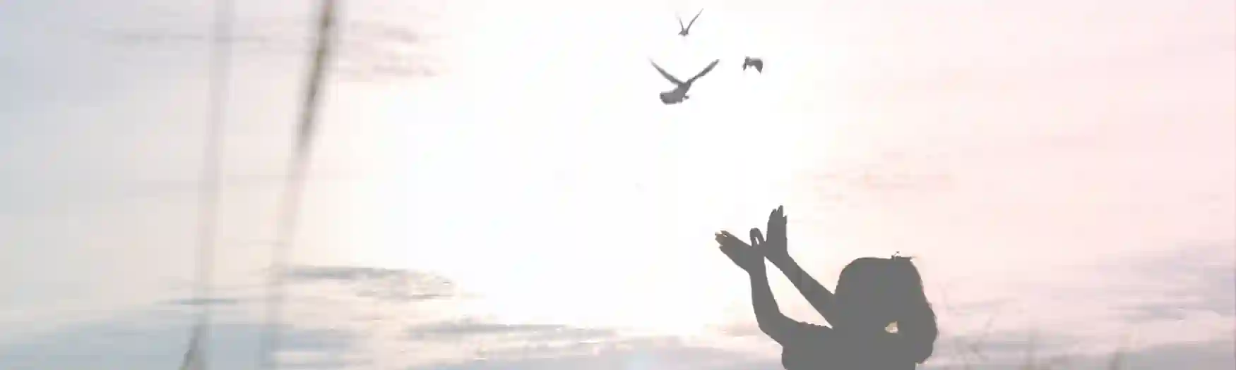 Die 10 Vorteile von PLR-Produkten für deine finanzielle Freiheit und das mit einem ganz leichten Einstieg - Frau lässt am Strand von Spanien Vögel fliegen