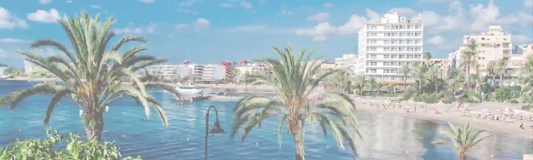 Was muss man beim Auswandern nach Spanien beachten? Palmen am Strand von Spanien